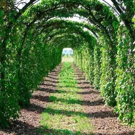 Grande Maison Cozy, Sud, 15 Min Francorchamps Theux