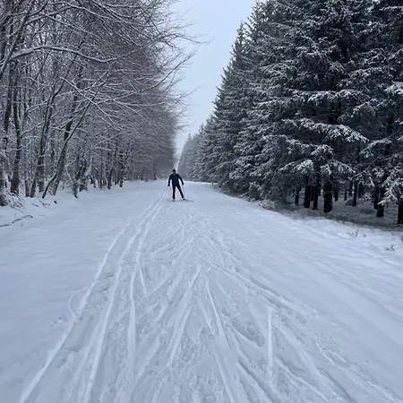 Grande Maison Cozy, Sud, 15 Min Francorchamps